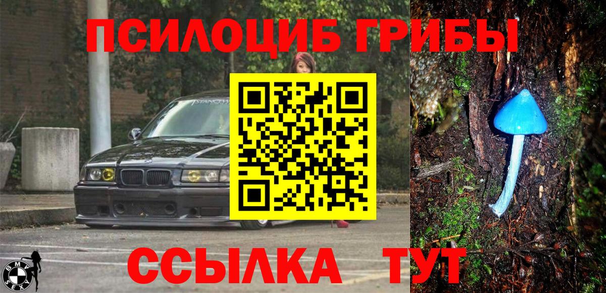 Омск  Псилоцибиновые грибы мухоморы  Вход с VPN 